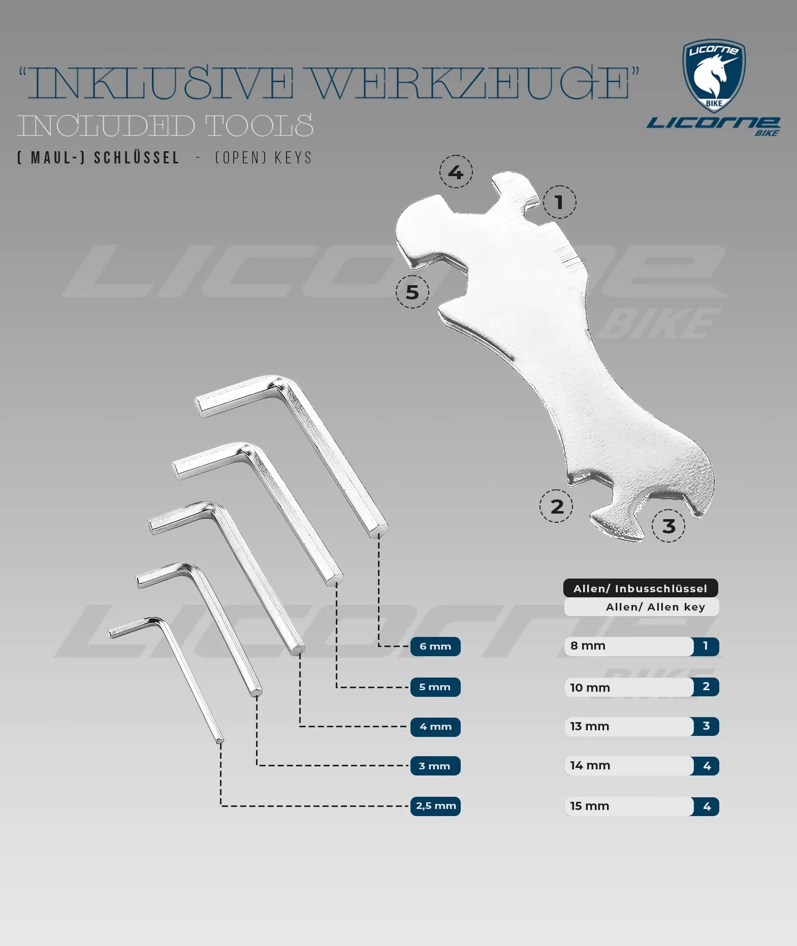 Licorne Bike Strong 2D Premium Rudergerät górski 29 cali hamulec tarczowy 21-biegowa przekładnia pełne zawieszenie czarny